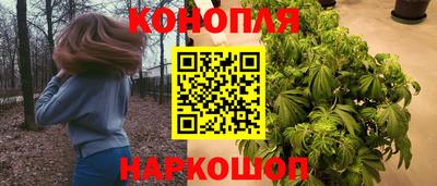гашик Малгобек