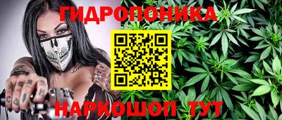гашик Малгобек