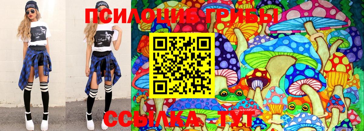 Губаха  Псилоцибиновые грибы Psilocybe  Вход с VPN  Галлюциногенные грибы Cubensis 