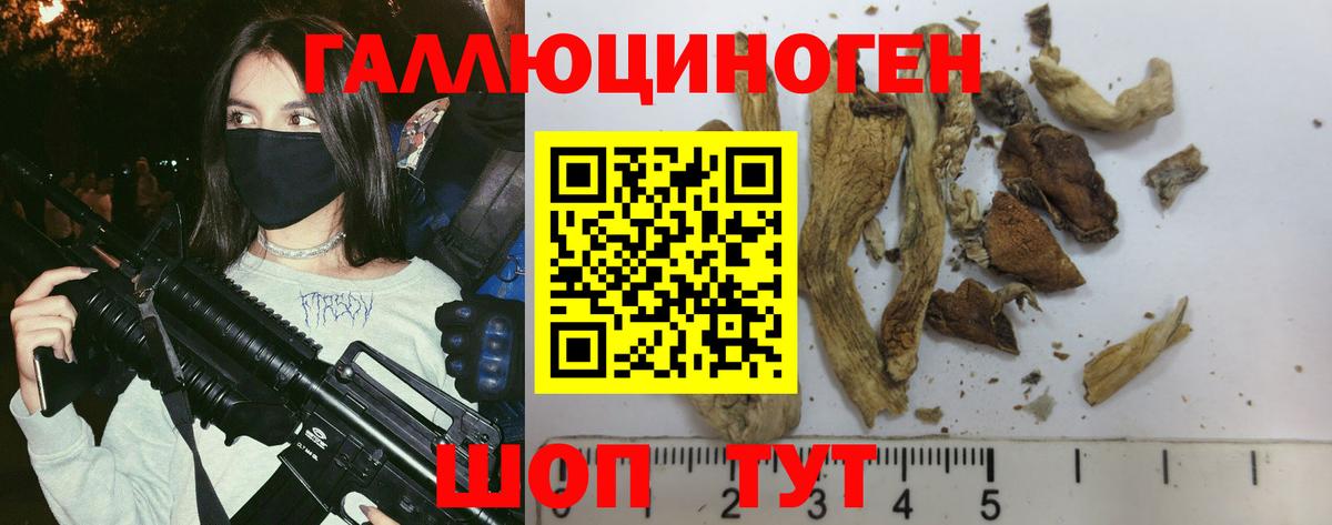Галлюциногенные грибы мицелий Губаха