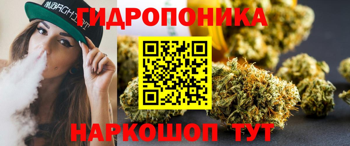 Бошки Шишки MAZAR  Каннабис гибрид  Губаха  Марихуана семена  Конопля Amnesia  Вход с VPN 