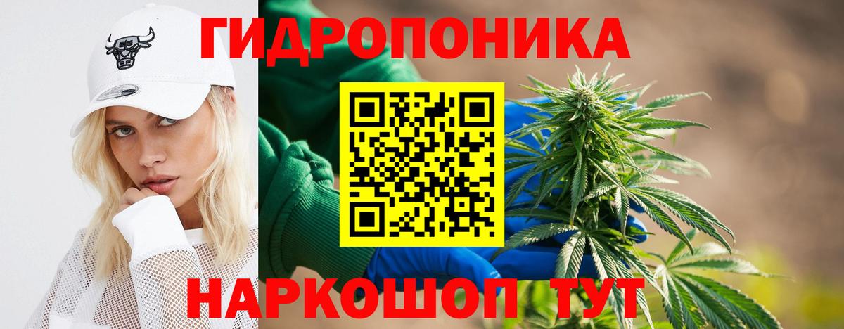 Конопля White Widow Губаха